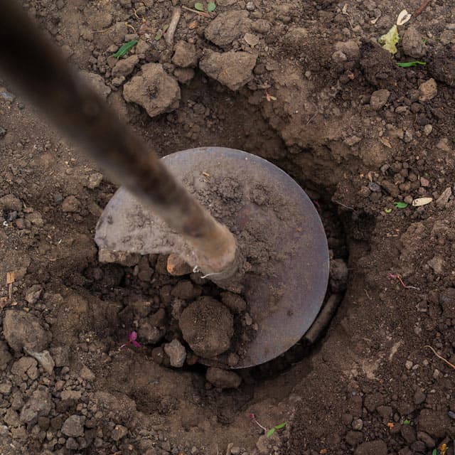 Últimas novedades de Sondeos Verderol